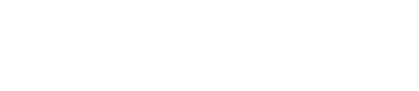 DLW Logo